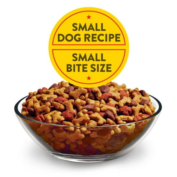 Purina Dog Chow Real Chicken & Beef Gravy Dry Dog Food, 16.5 lb Bag - Image 3