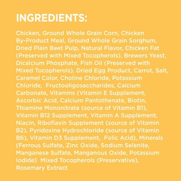 IAMS Smart Puppy Chicken & Whole Grains Flavor Dry Dog Food for Puppy, 15 lb. Bag - Image 3